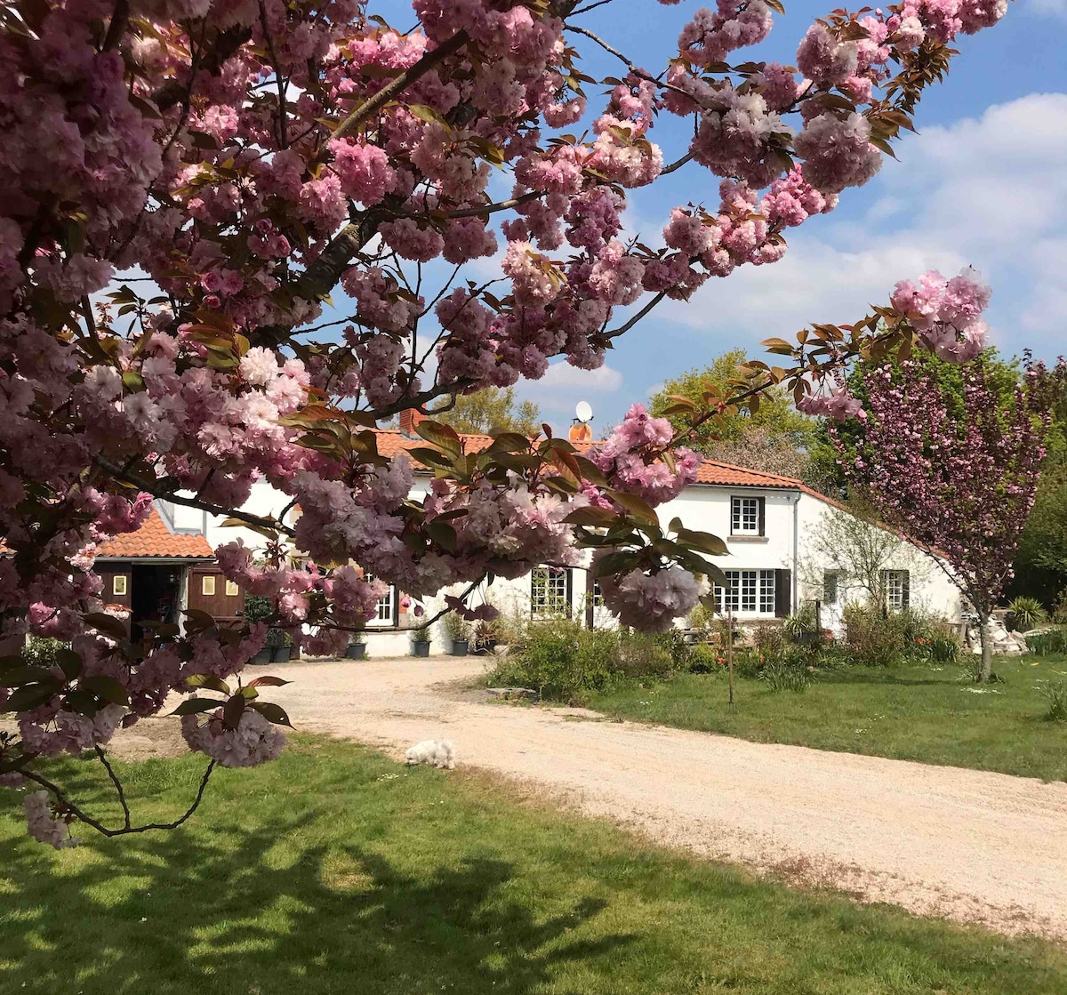 La maison aux petits bonheurs