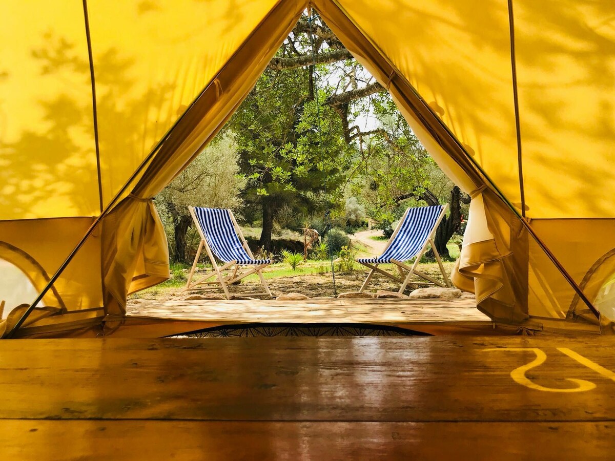 Family Bell Tent at Cactus Lodge