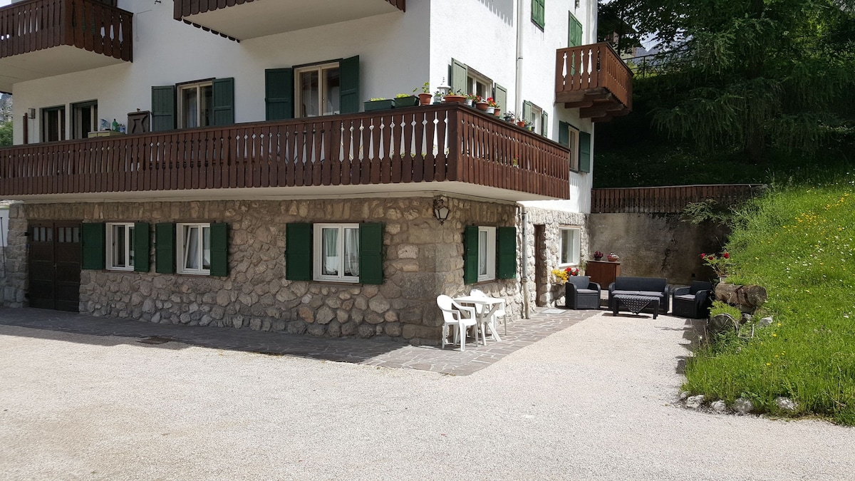 位于Cortina d 'Ampezzo的家庭公寓楼免费无线网络