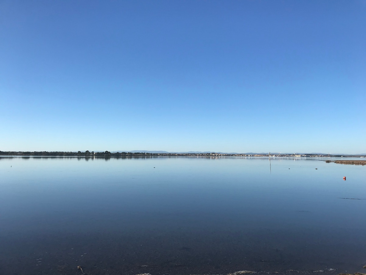 靠近池塘和海洋的现代平房