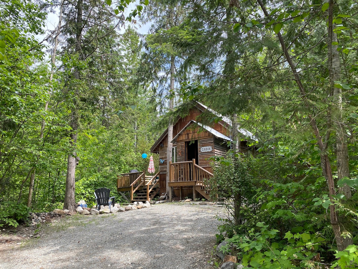 森林中的太阳能小屋