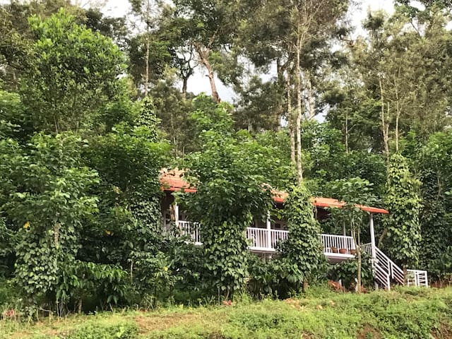 马蒂科里(Madikeri)的民宿