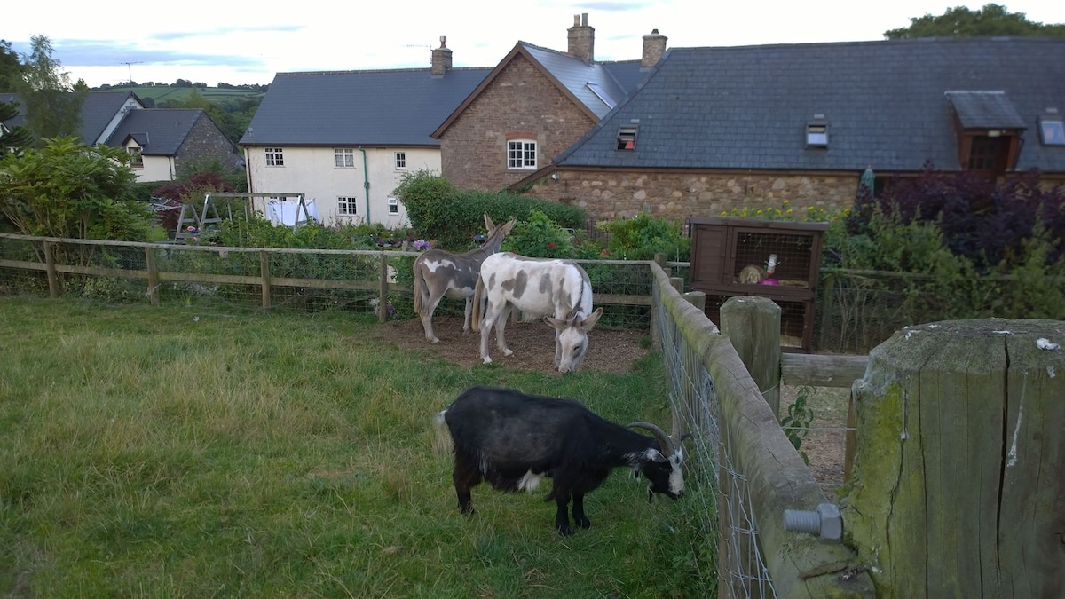 Pen-y-dre Farm Loft B&B