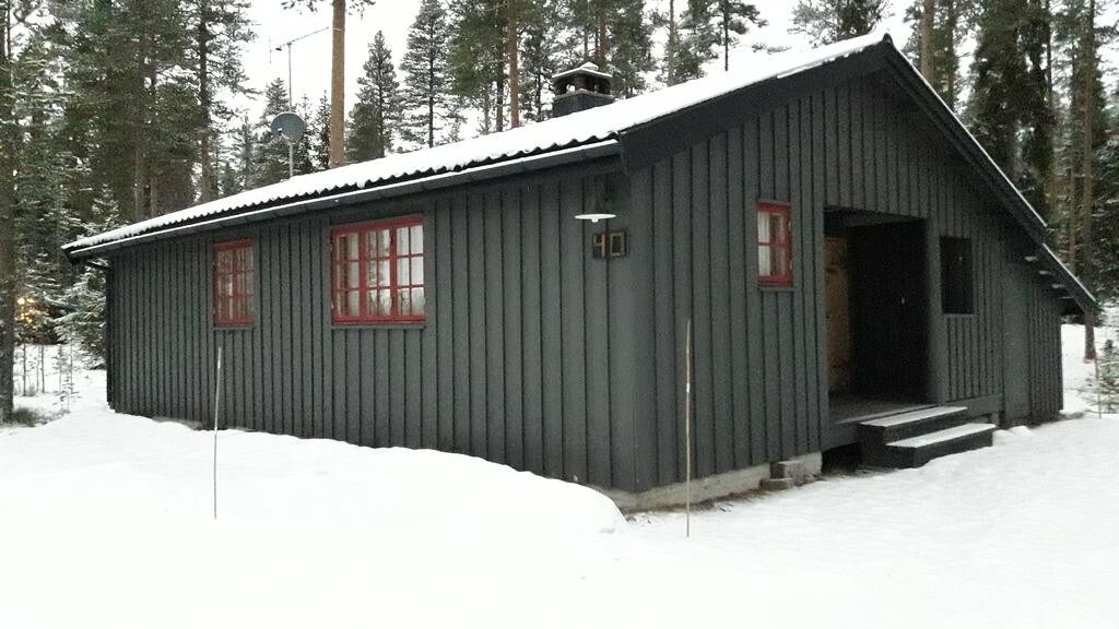 Trysil/Ljørdalen Hoelskogen