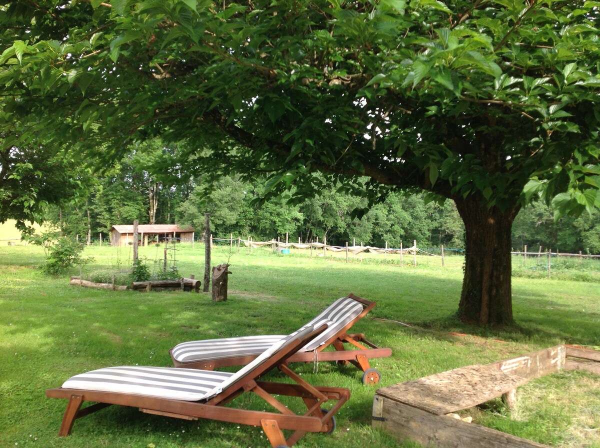 Trés joli gîte au grand calme en pleine nature