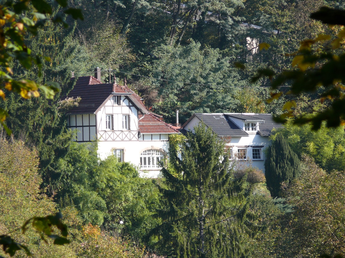 La Petite Villa des Oiseaux - La Petite Pierre