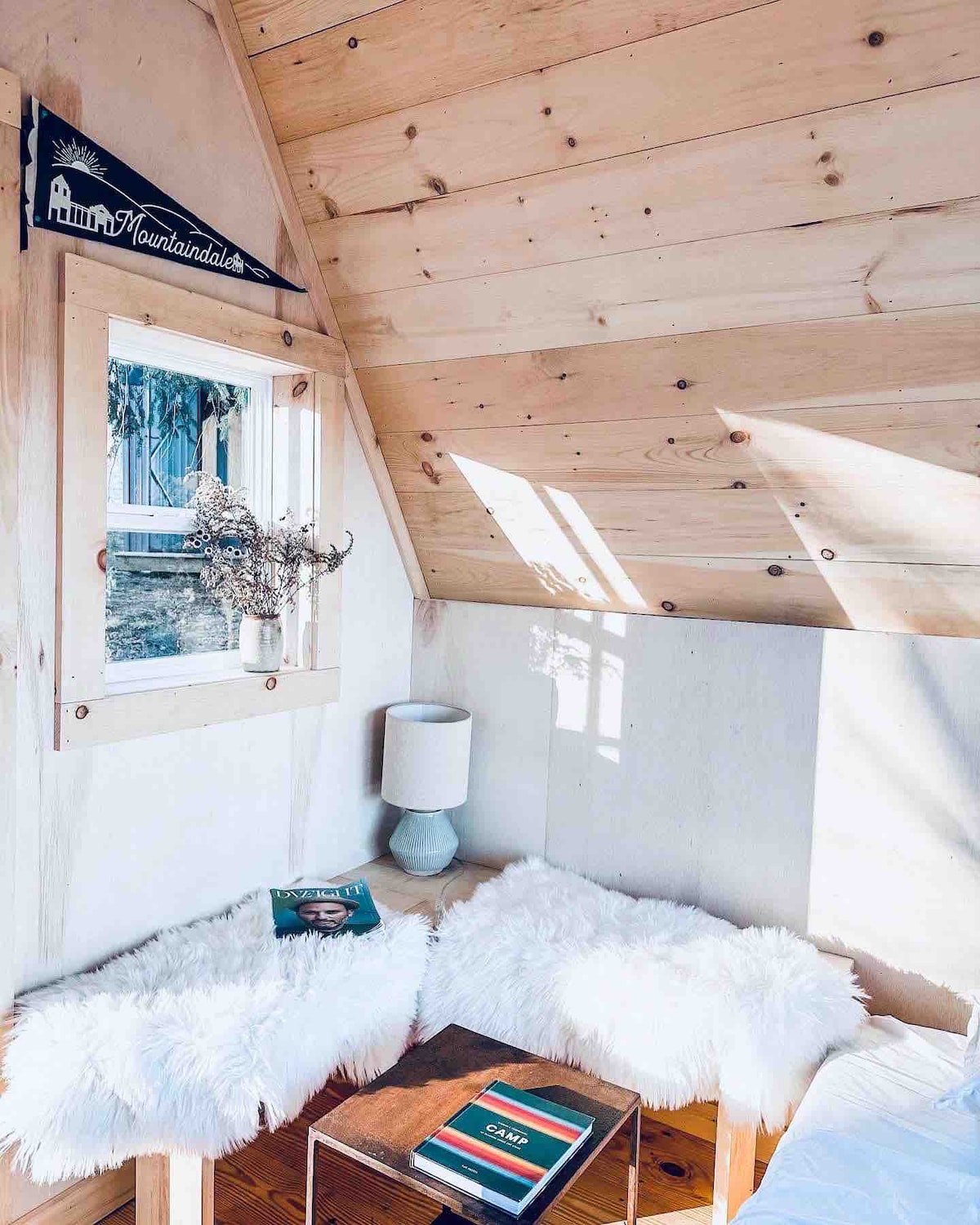 Tiny like “A” frame cabin with alpacas