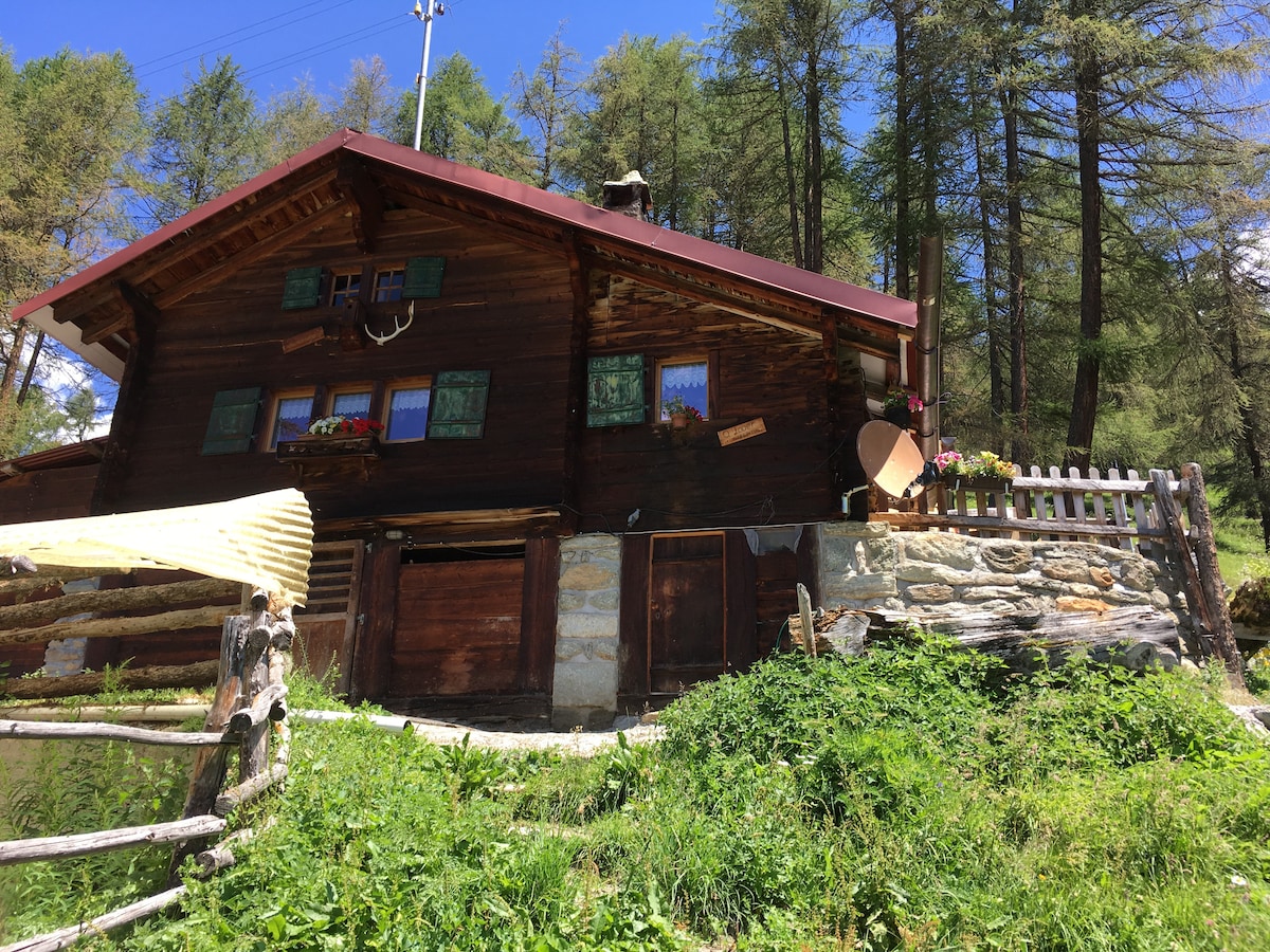 Chalet de Mayen La Forêt