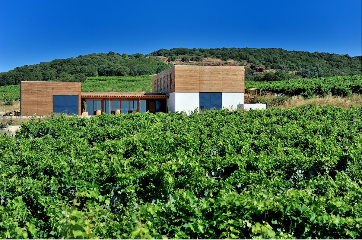 Maison dans domaine viticole bio avec piscine