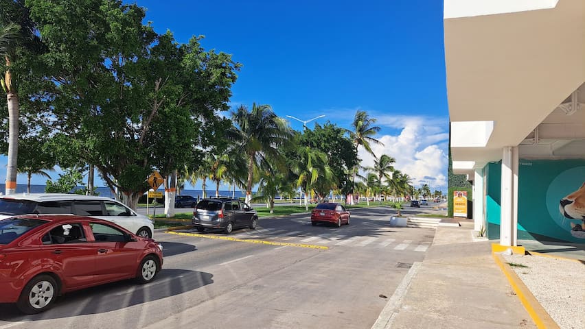 坎佩切(Campeche)的民宿