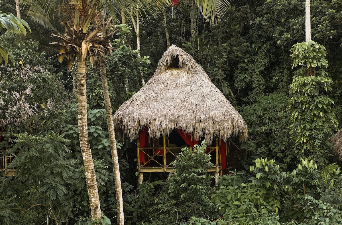 Tree Top Tree House - Dominican Tree House Village