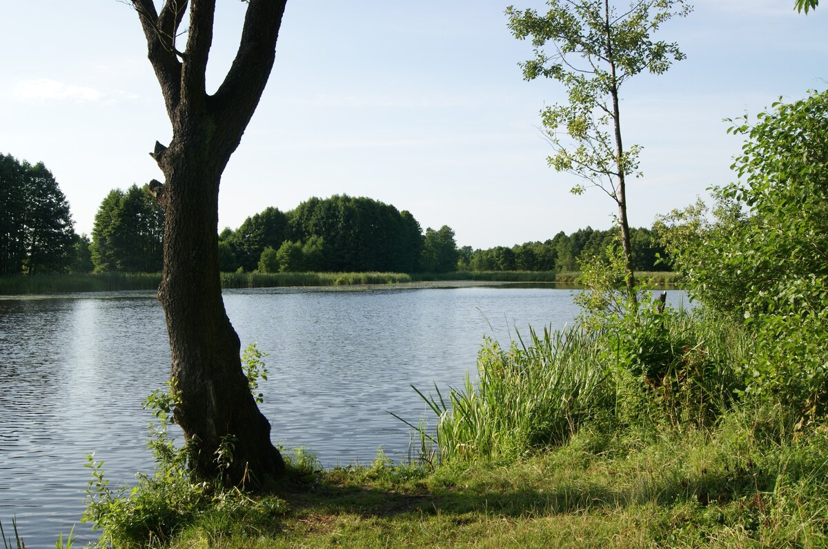 Jeziorna 10, Cottage in Natura 2000