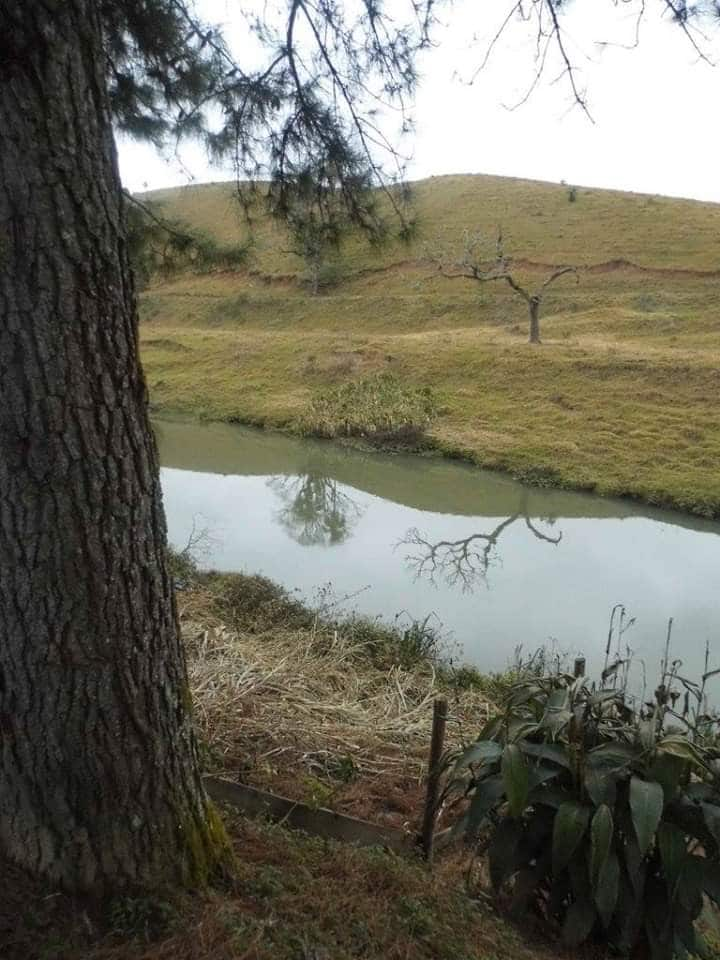 阅读和生活小屋。