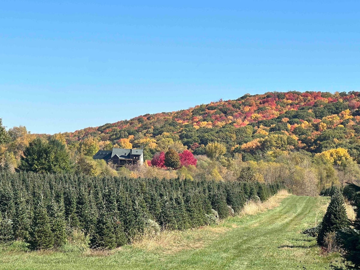 Real Christmas Tree Farm! Devil's Lake nearby.