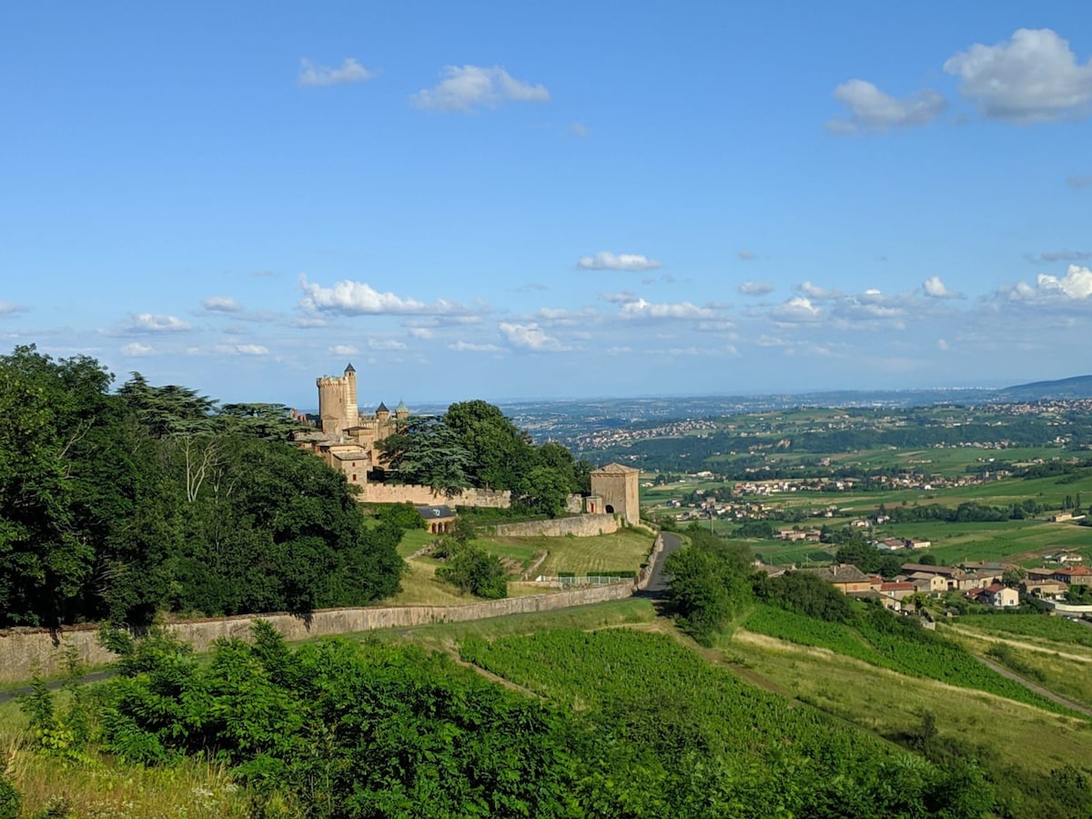 距离里昂40分钟路程的Beaujolais城堡