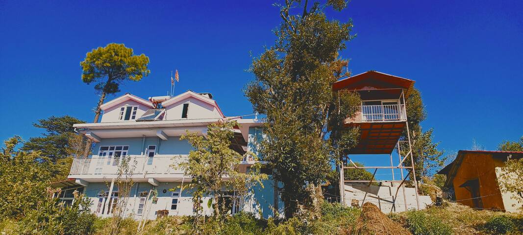 西姆拉（Shimla）的民宿