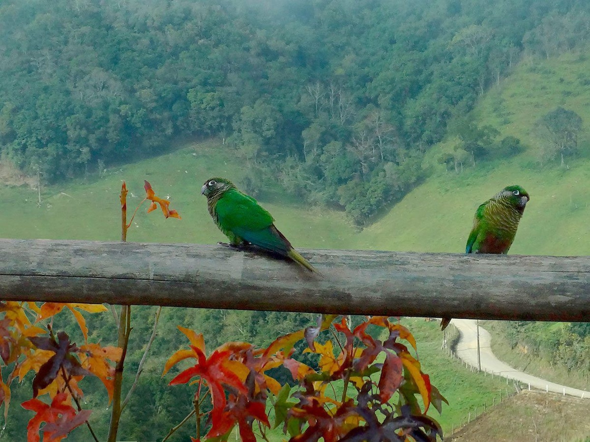 Chalé Boa Vista, inteiro, a 90 km de Floripa