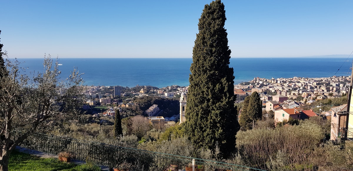 Borgo Carmo ，您住在绿色植物中，欣赏海景