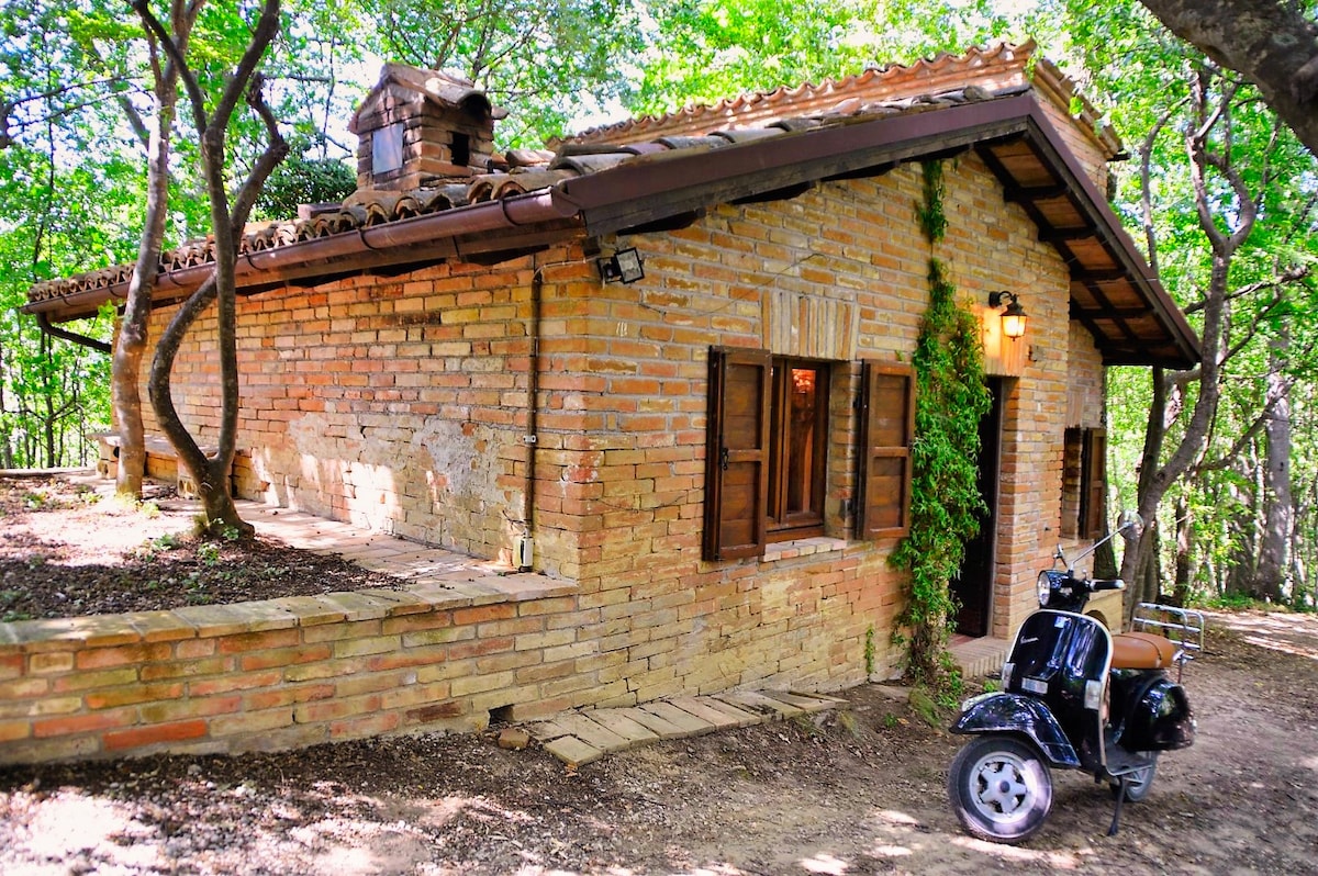 MARCHE CHALETS in THE SARNANO Woods