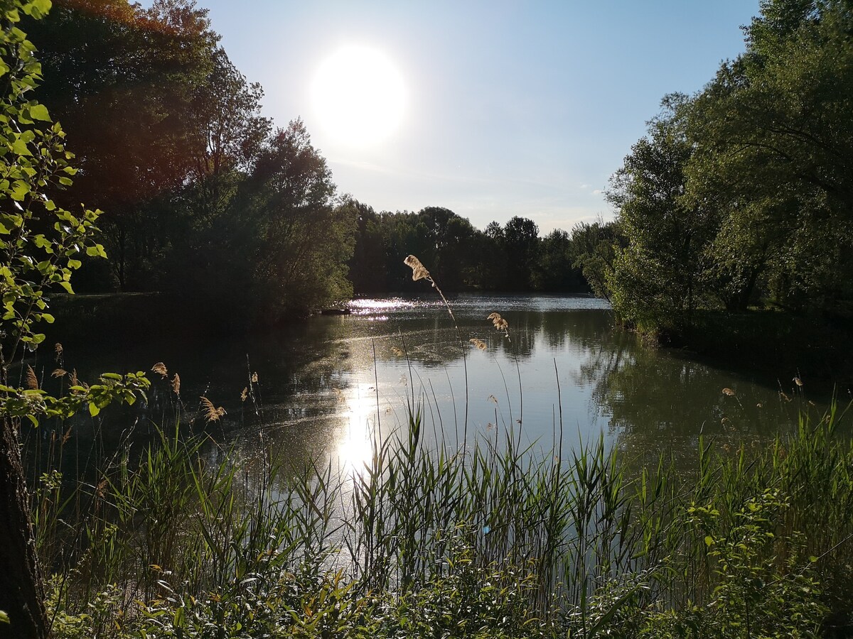 Takácsi Pihenőpark/Erholungspark (EG19018945)