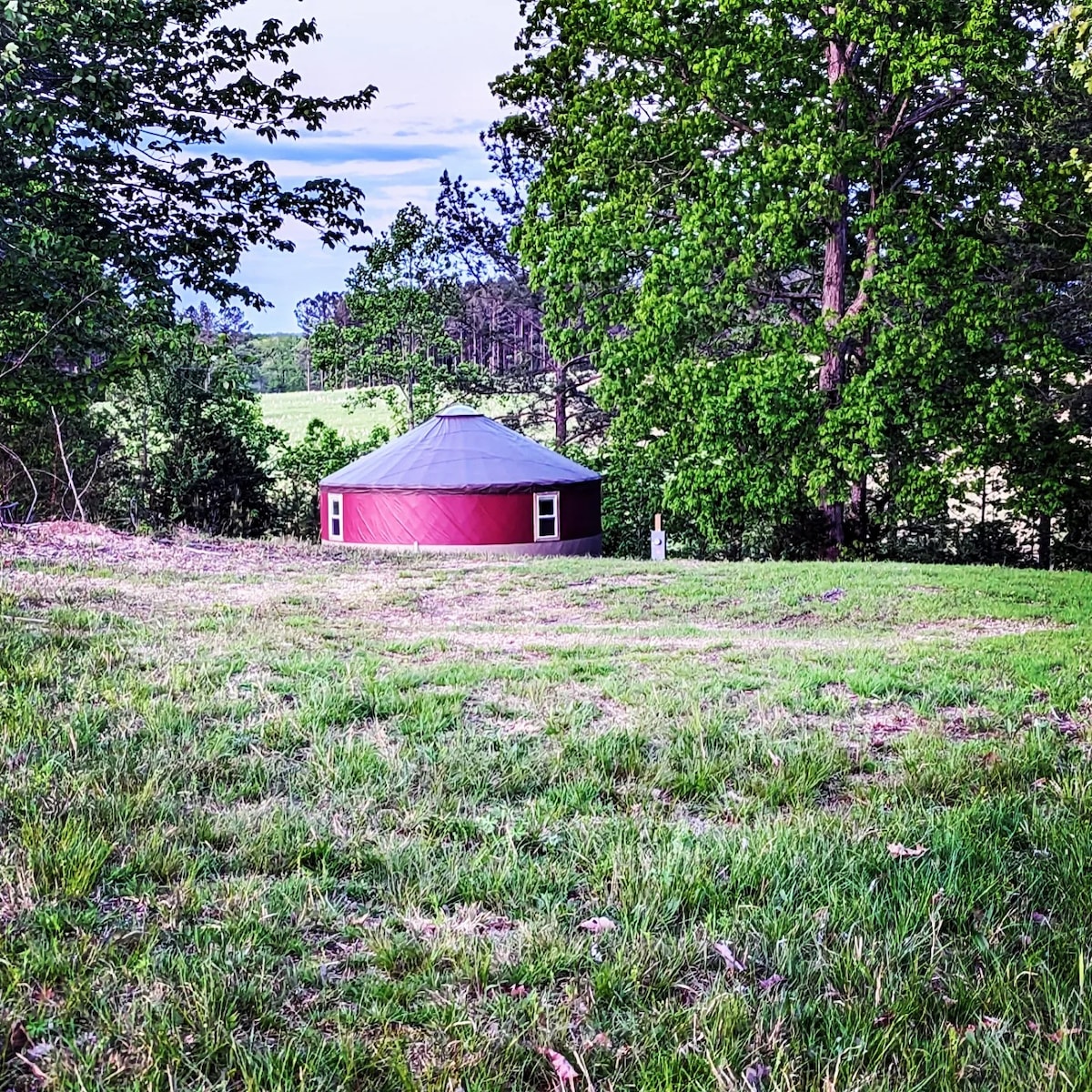 The Hive - A Unique Yurt Stay on Hobby Farm