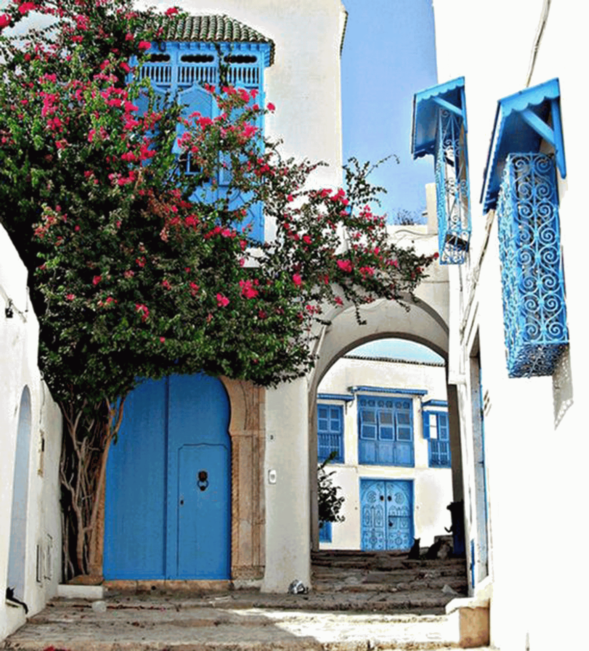 Cosy S2 Apartment in Sidi Bou Said Village