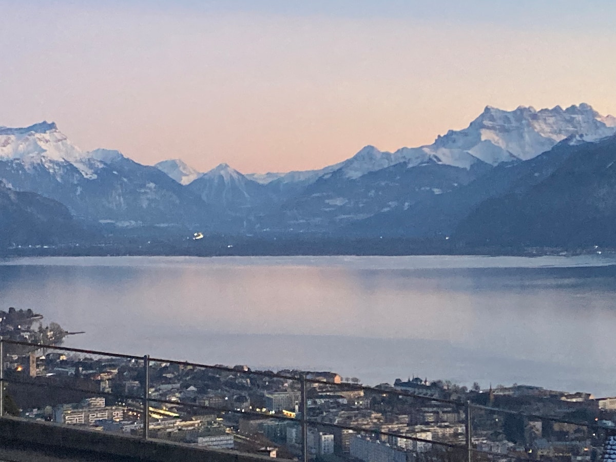 令人惊叹的全景山景