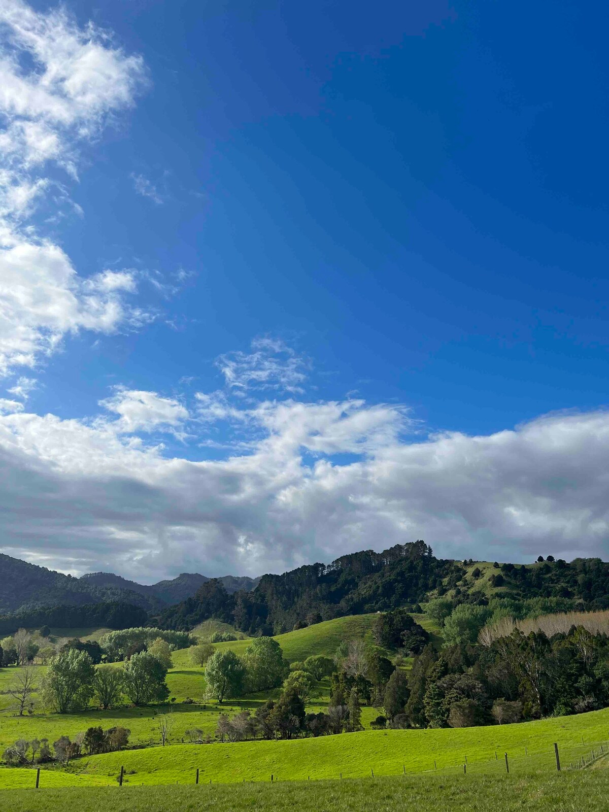 Big Omaha Retreat, Matakana.