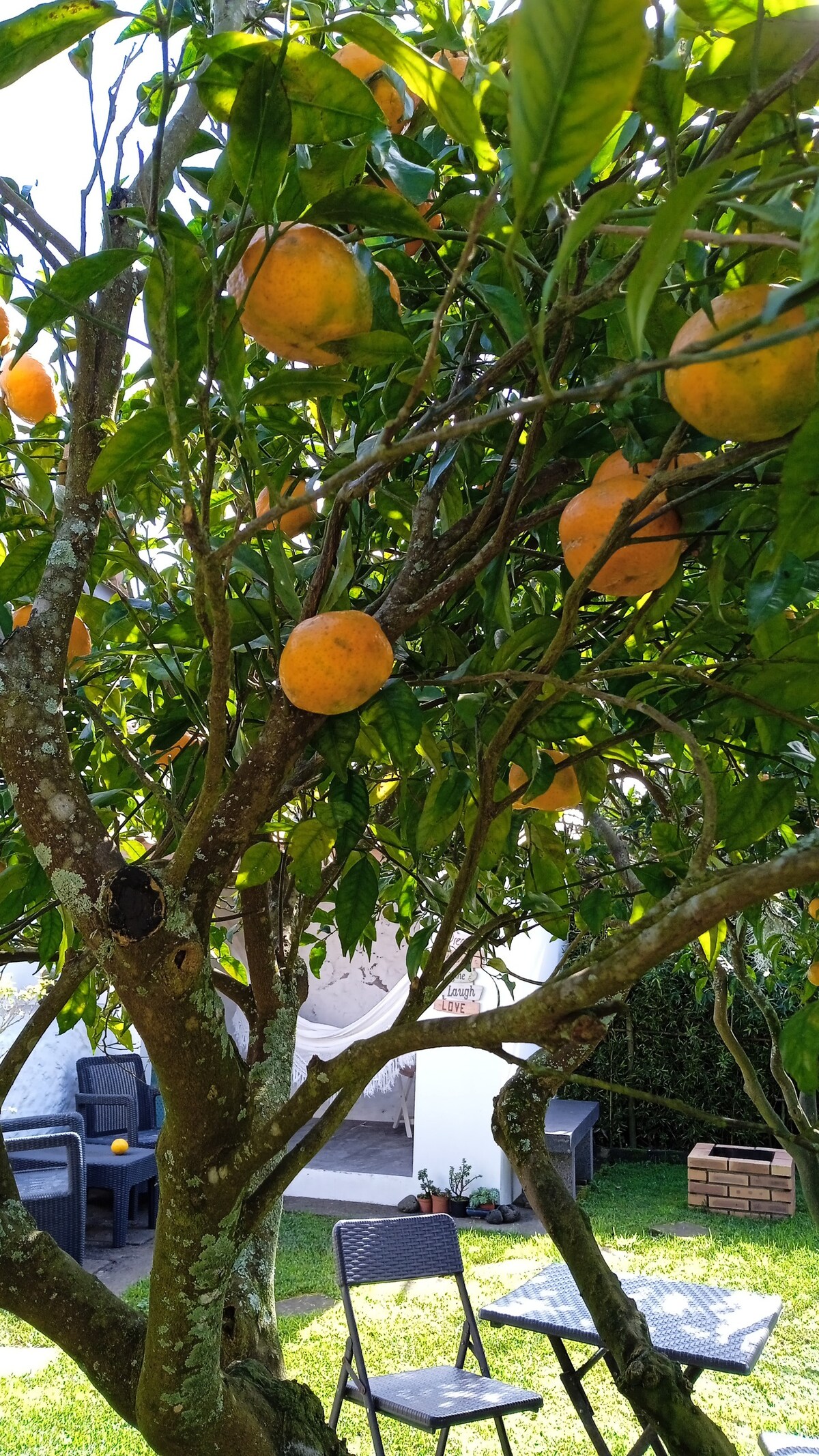 Cantinho da Luz - Fenais da Luz - Ponta Delgada