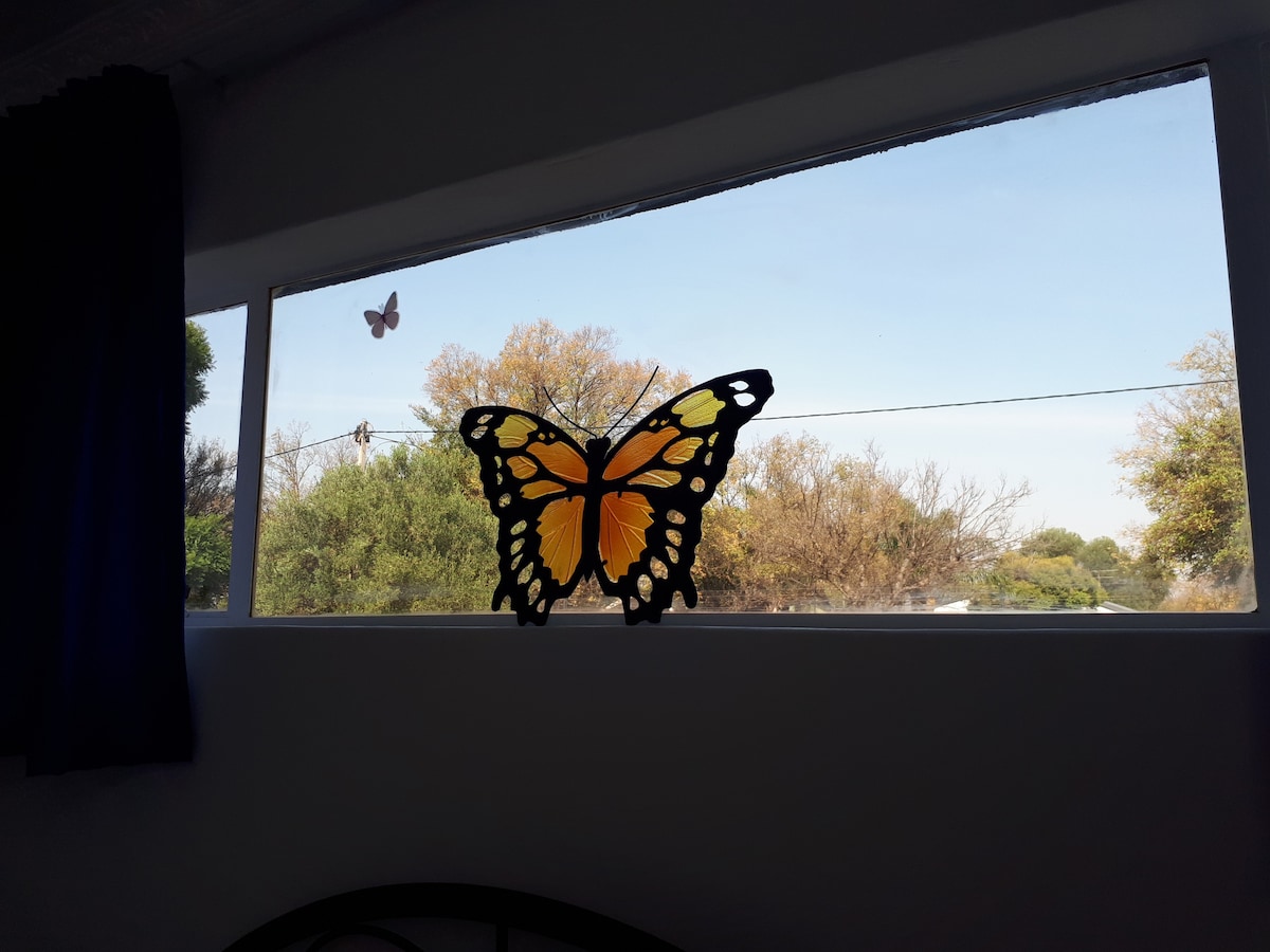 Butterfly @ 13th Ave Guesthouse Benoni。无线网络， Netflix