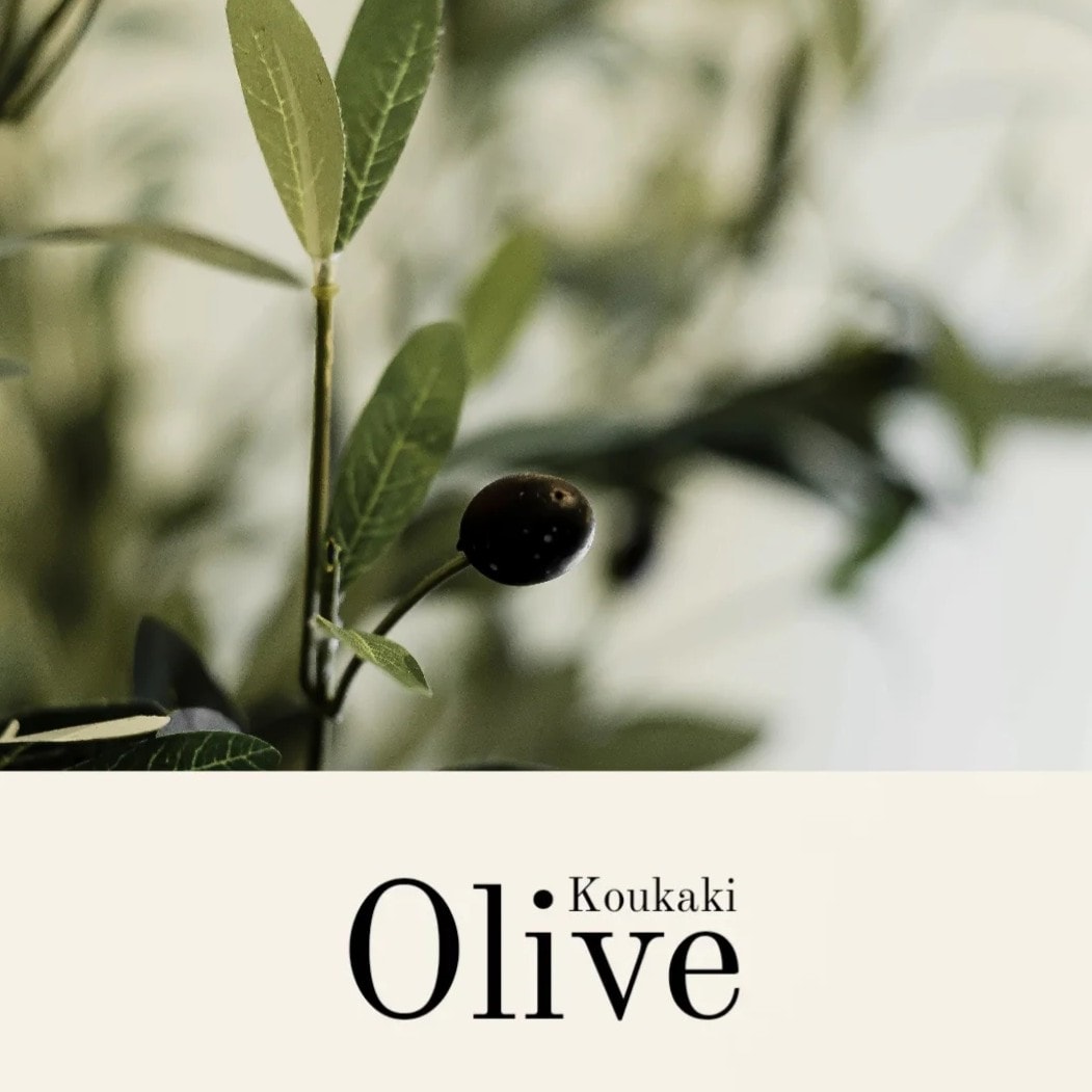 Olive Koukaki