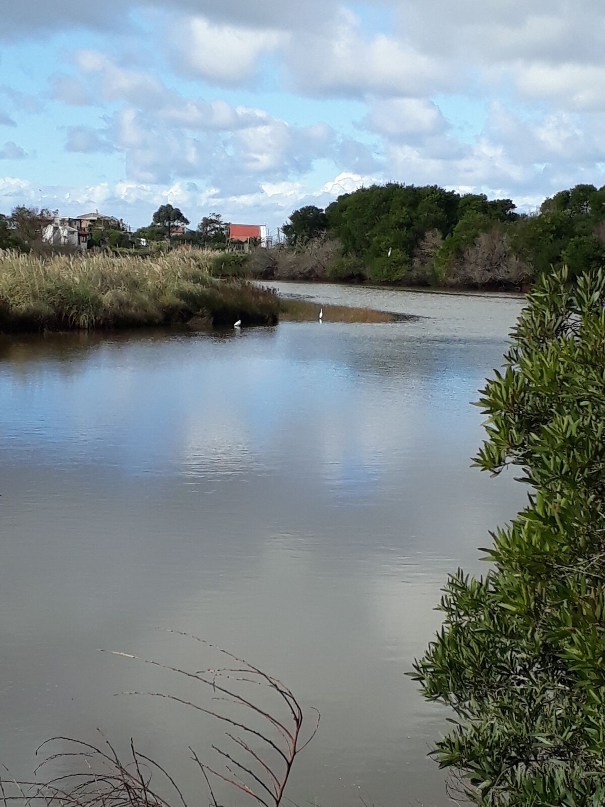 Rancho frente al arroyo Pando.