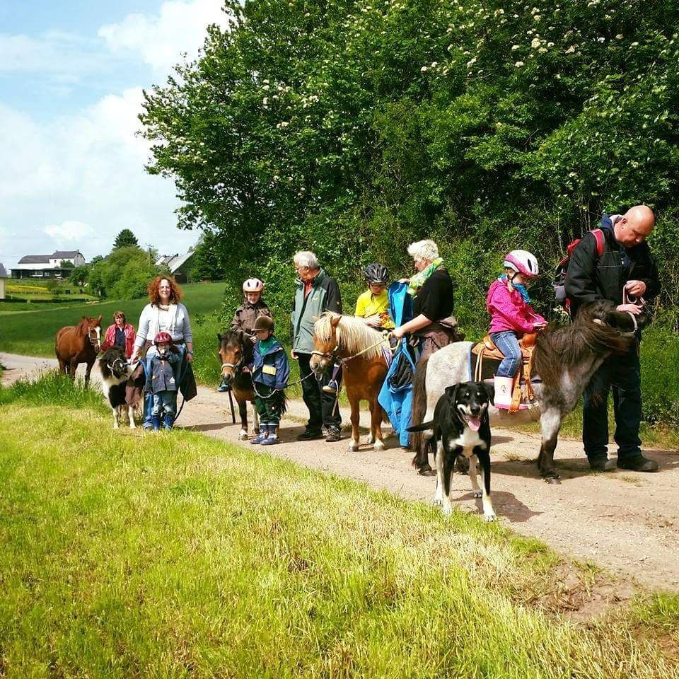 OG Ferienwohnung in der Eifel