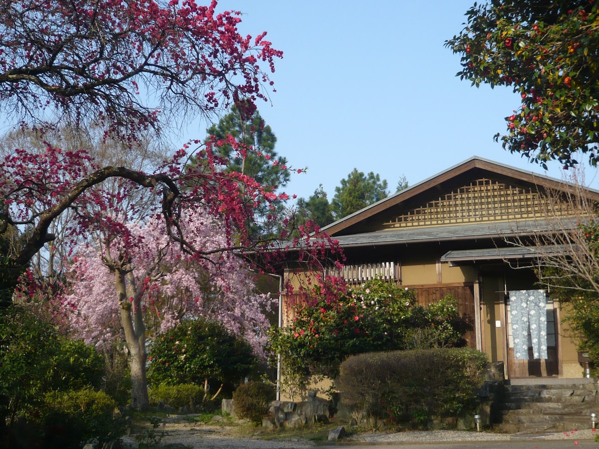 「Yoshi」，绿意盎然的老房子（京都县山美区17号）