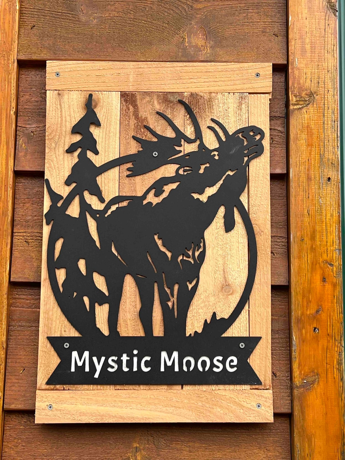 The “Mystic Moose” Home