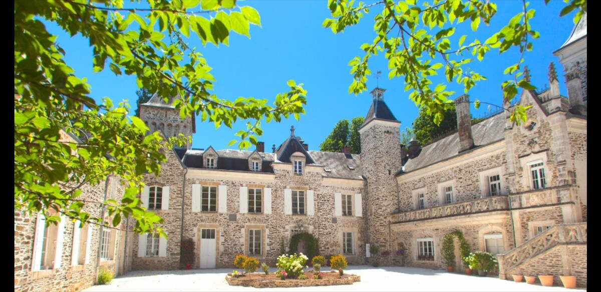 奇特、奢华的SW法国城堡