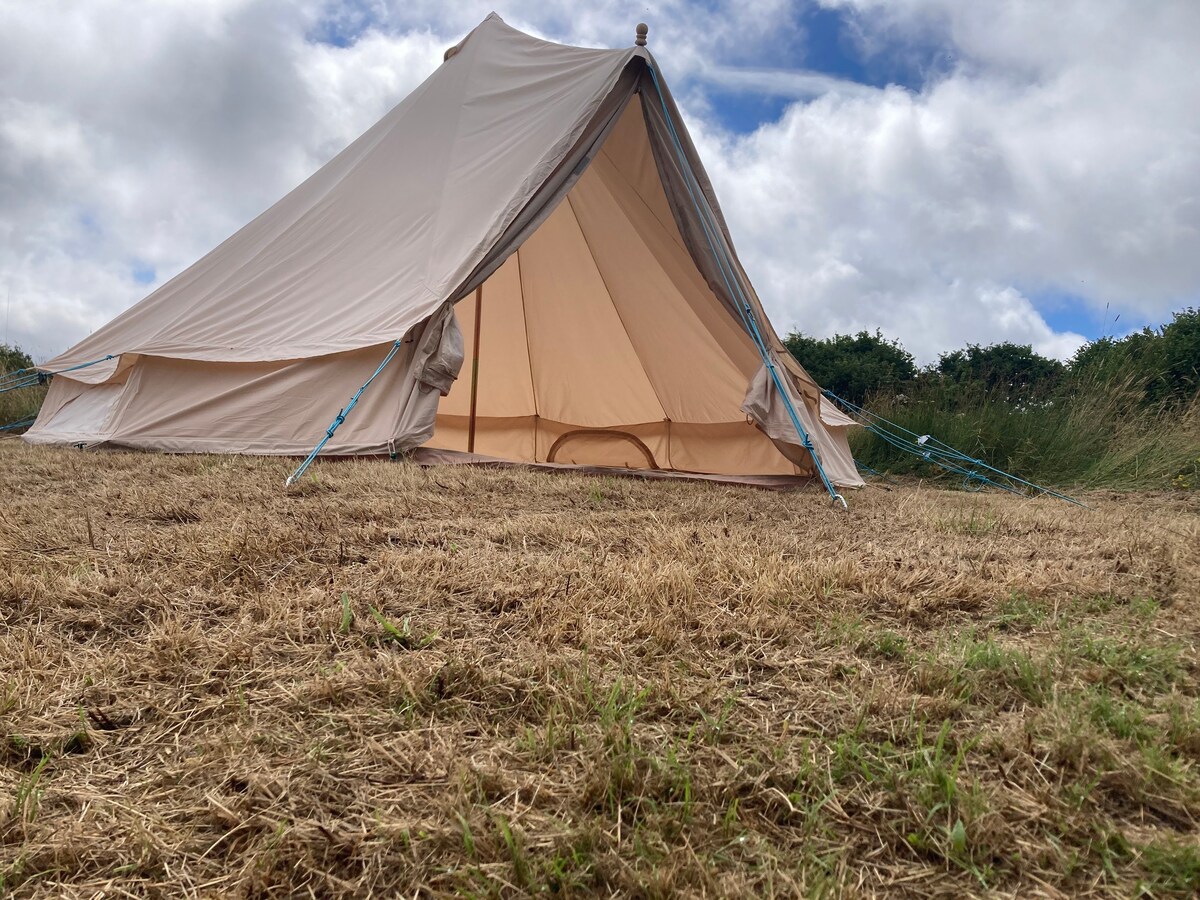 Butterfly Meadow camping - Peaceful escape Totnes