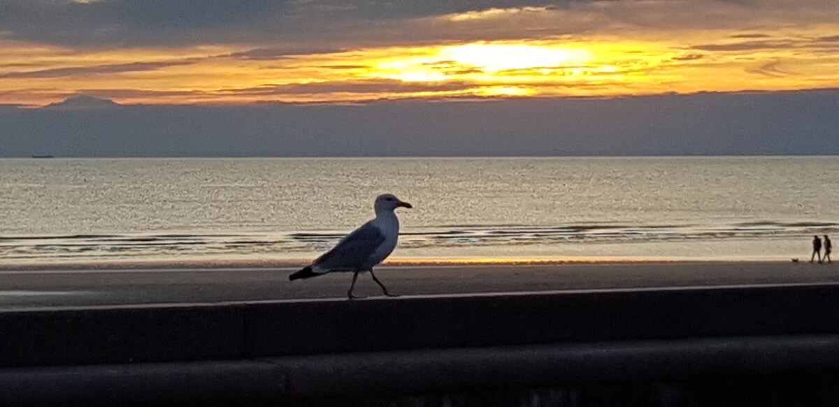 Wimereux ：海景公寓