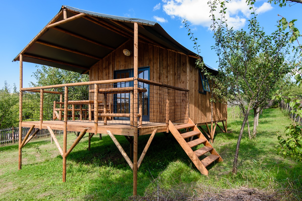 Cabane Lodge