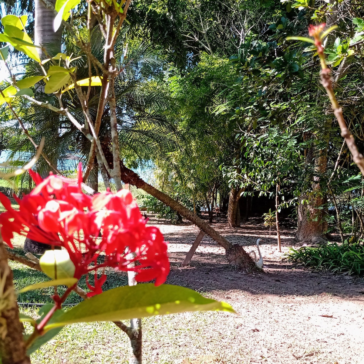 Rancho Rio Dourado ，休闲、钓鱼和大自然！