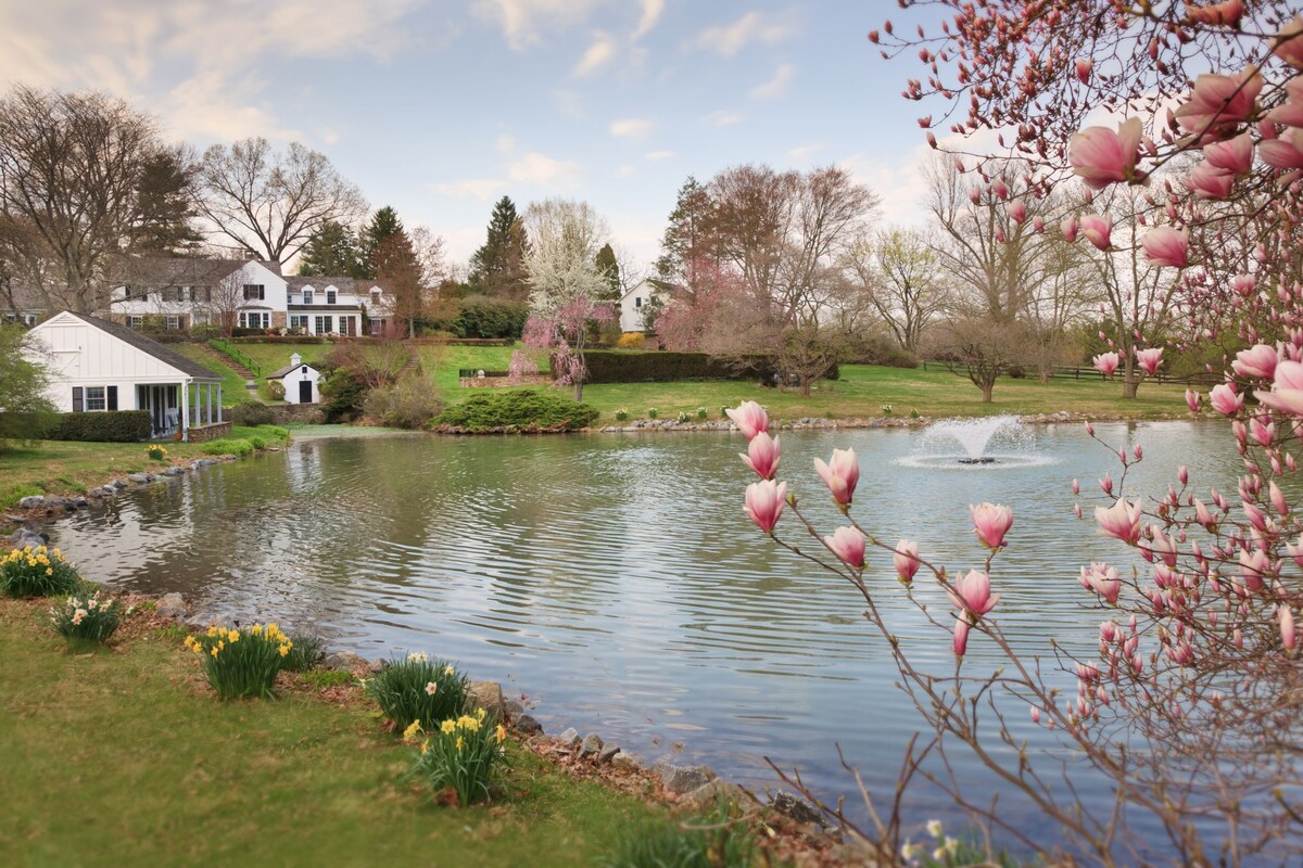 Inn at Whitewing Farm - The Daily Review Room