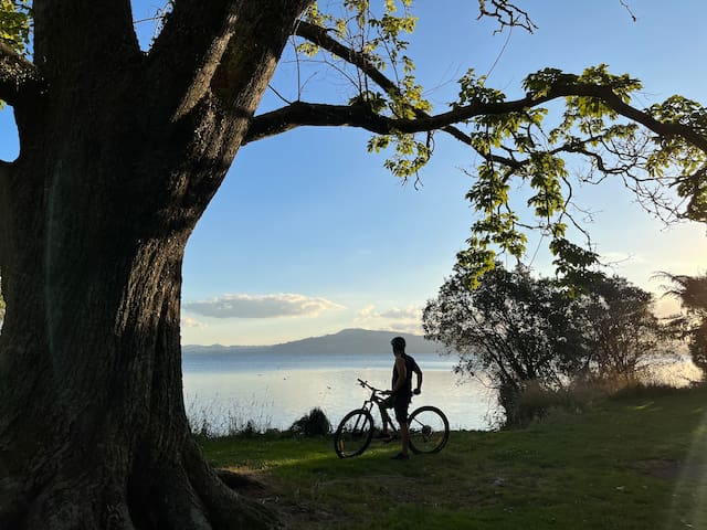 罗托鲁瓦(Rotorua)的民宿