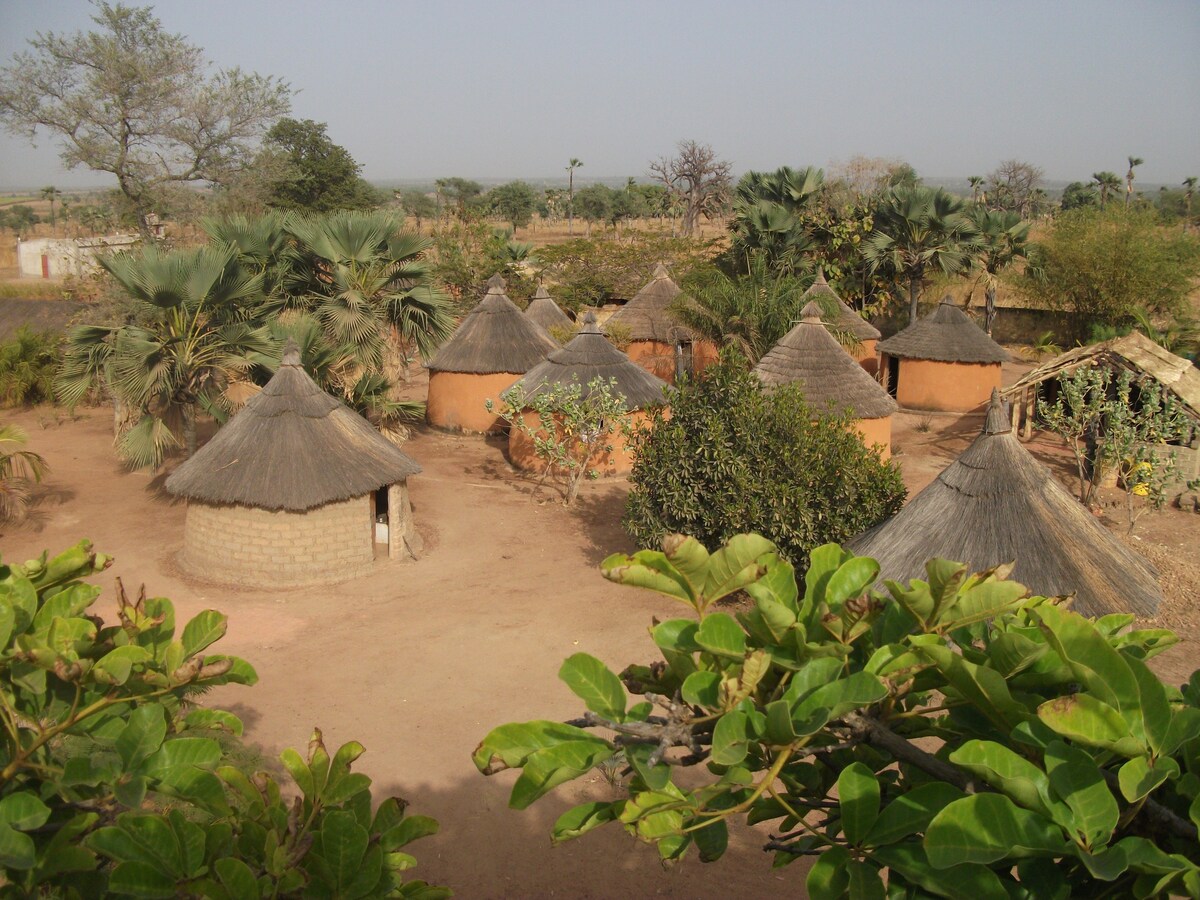 Baobab营地