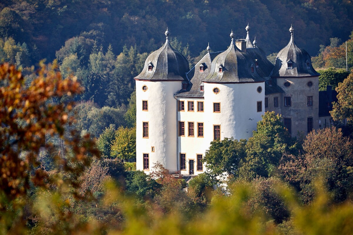 Schloss Gemünden ：历史悠久的Schlosshof