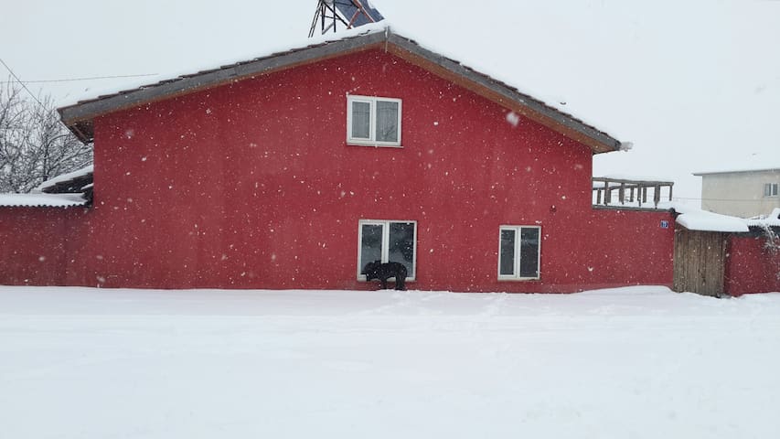 居文儿童高脚餐椅民宿