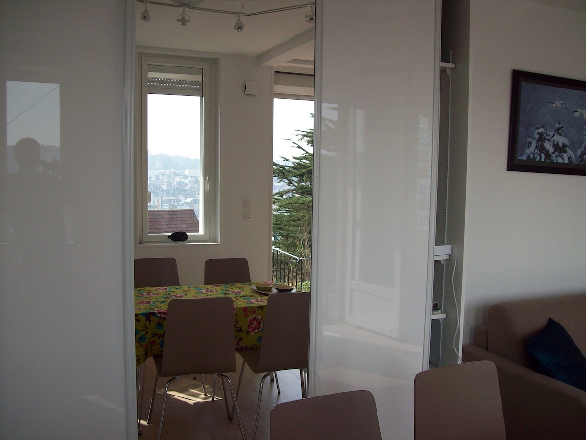 俯瞰费坎普港和海景的单间公寓。