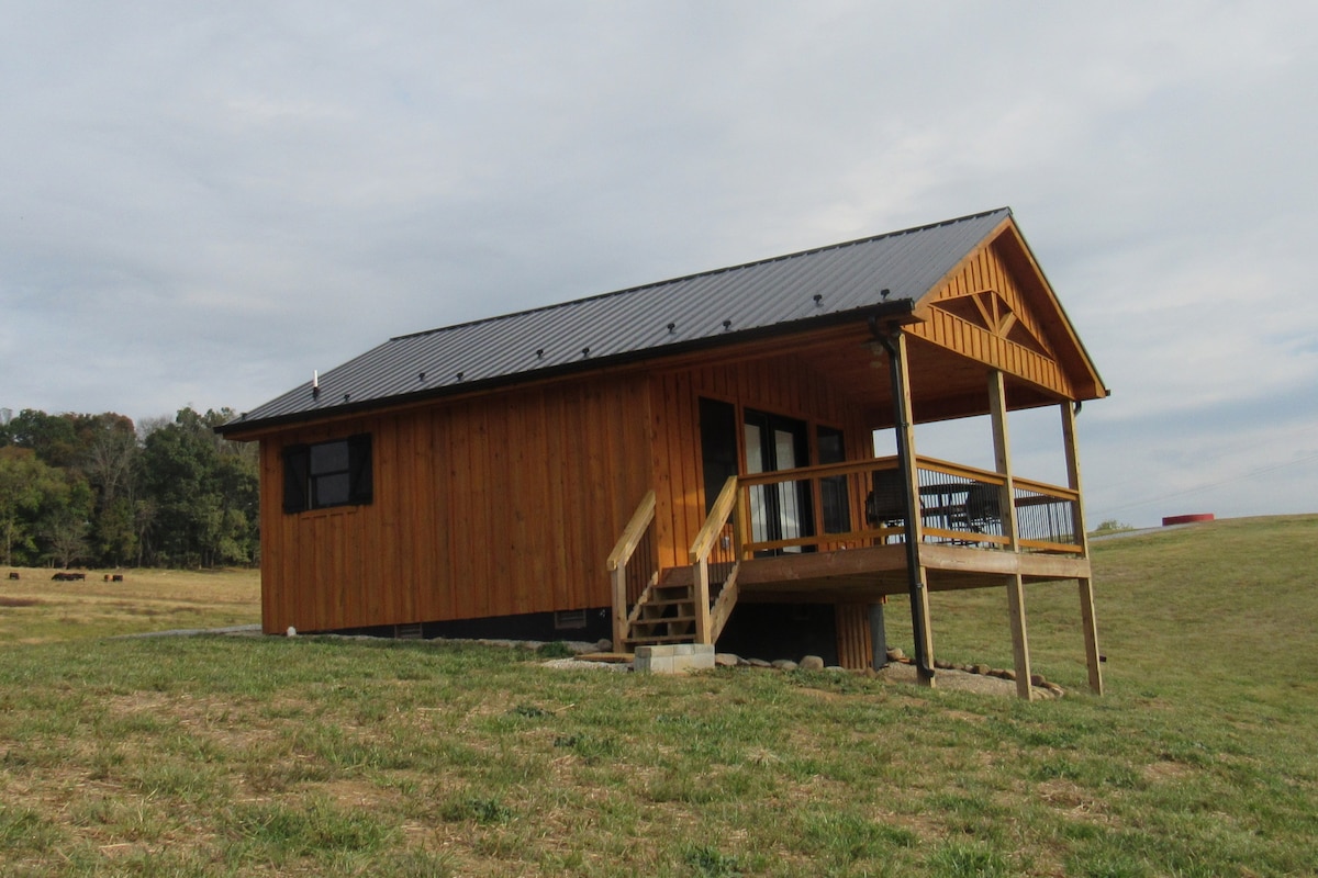 South Holston Riverfront Cabins-Ruth's Retreat