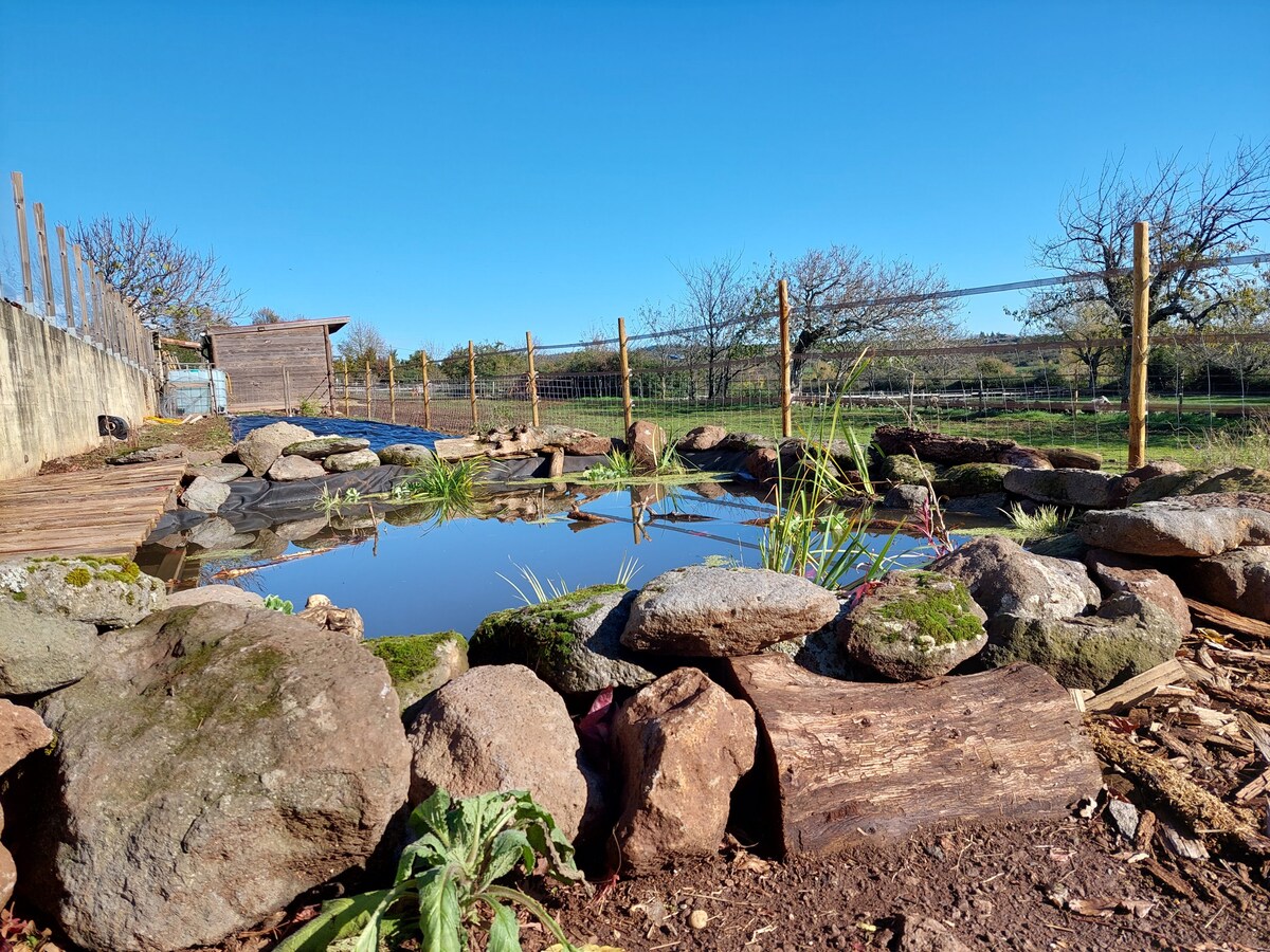 Gîte rural avec piscine et animaux, idéal famille