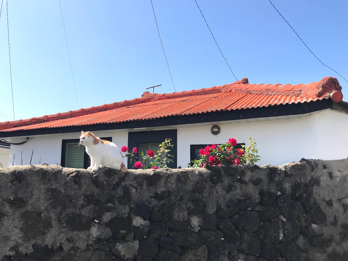 仅限女性专享的姻亲住宿（仅限Yuzah房间-1,2人） - Nori住宿加早餐旅馆