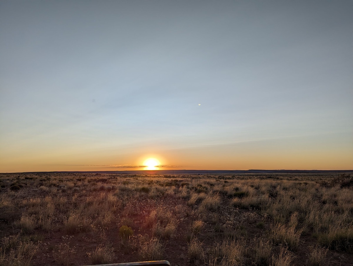 The Petrified Forest Ranch